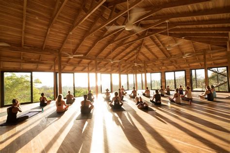 Ila Yoga Retreat Rise Bodhi Tree Yoga Resort