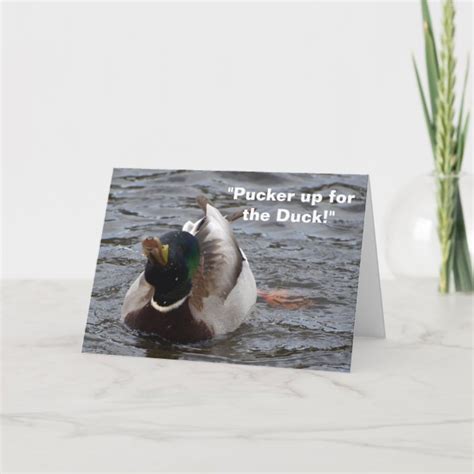 Funny Mallard Duck Birthday Card