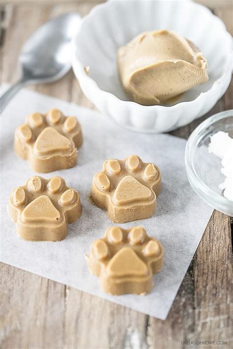 Peanut Butter Coconut Oil Dog Treats And New Years Tips For Pet Owners