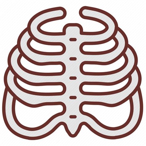 Ribs Rib Cage Skeleton Chest Human Icon Download On Iconfinder