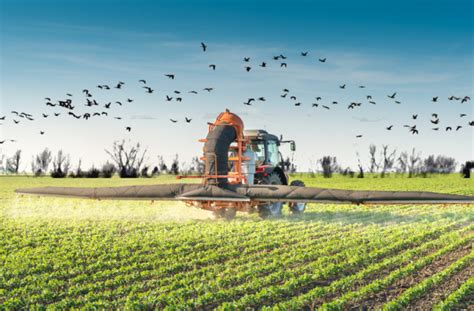 The Expense Of Pesticides Significantly Outweigh Economic Benefits