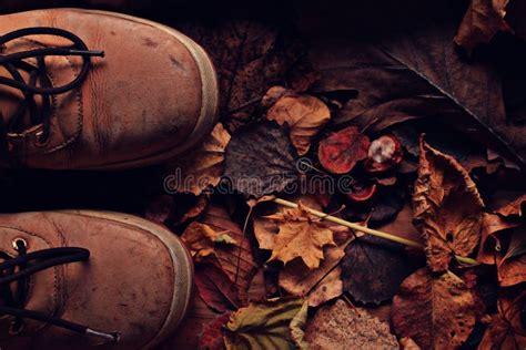 Old Broken Leather Shoes Stock Photo Image Of Medical 56696992