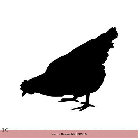 Farm Animal Chicken Silhouette Vector Logo Template Illustration