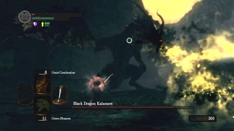 So, the main part of all animation is fromvalue. Dark Souls - Kalameet - SL1, Perfect Fight - YouTube