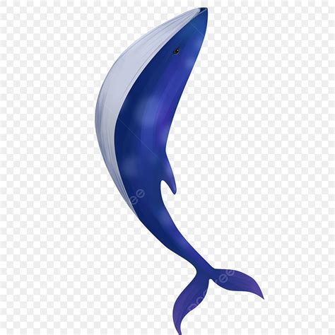 Blue Whale Clipart PNG Images Blue Ocean Whale Illustration Blue