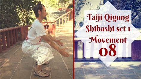 Qigong Exercises Tai Chi Qigong Shibashi Set Movement Youtube