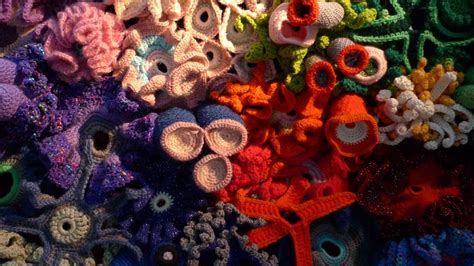 The Hyperbolic Crochet Coral Reef Travels From Ireland To The Smithsonian