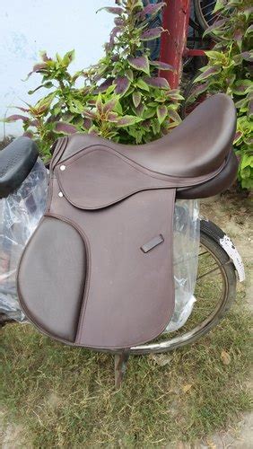 All Purpose Leather Jumping Saddle Brown Color Seat Sizes 15 To 18