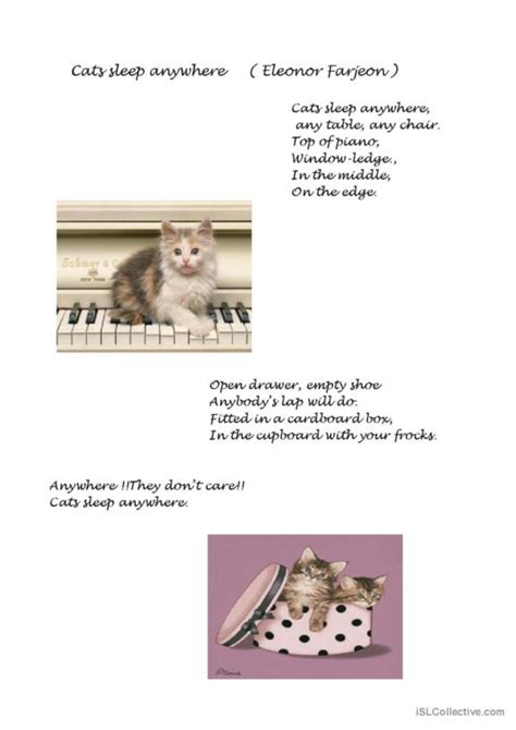 149 Cats English Esl Worksheets Pdf And Doc