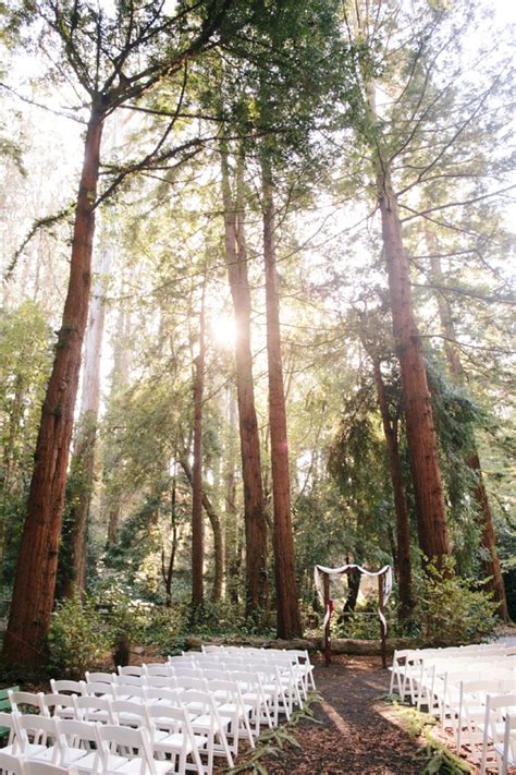 55 Awesome Redwood Forest Wedding Venues For Perfect Wedding Forest