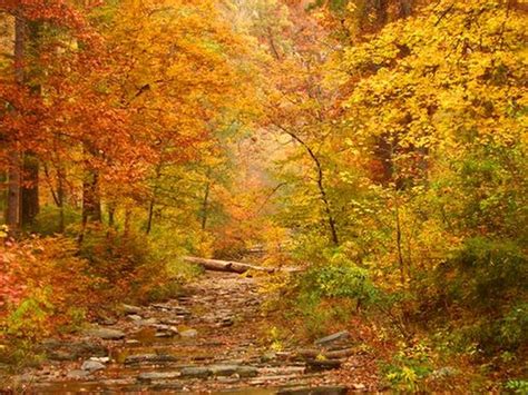 19 Photos That Prove Fall In Oklahoma Is Like Nowhere Else In The World