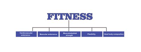 Physical fitness is used in the context of two meanings: What is Fitness? - Hype Fitness