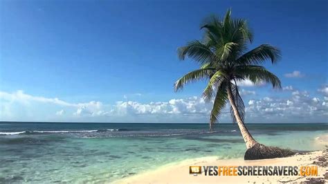Hawaii Beach Screensaver — Ocean Waves Tropical Beach Screensaver Youtube