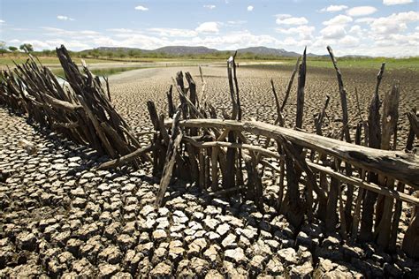 Nordeste Enfrenta Maior Seca Em 100 Anos