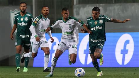 Como Assistir Ao Vivo Palmeiras X América Mg Pelo Brasileirão 2022 Portal Do Palmeirense