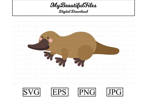Platypus Cute Clipart Graphic By Mybeautifulfiles · Creative Fabrica