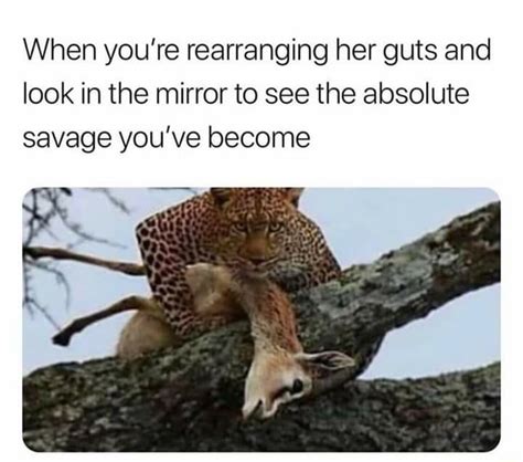 when you re rearranging her guts and look in the mirror to see the absolute savage you ve become