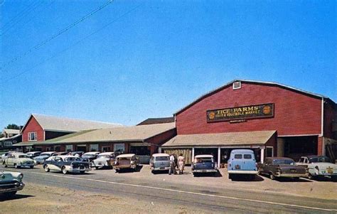 Store opening hours, closing time, address, phone number, directions. Vintage photos of fall traditions in N.J. | Woodcliff lake ...