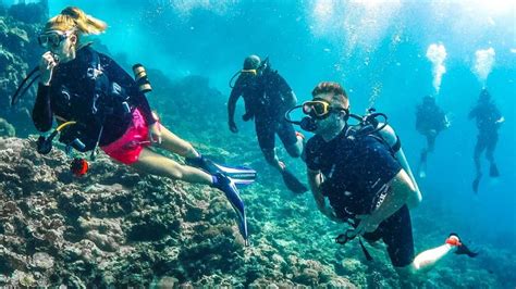 Why You Should Go Scuba Diving In Goa The Best Scuba Destination In India