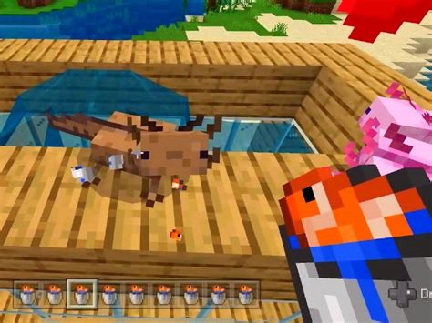 What Do Axolotls Eat In Minecraft Vgkami