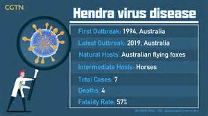 Hendra Virus Facts And Resources Nabsnet