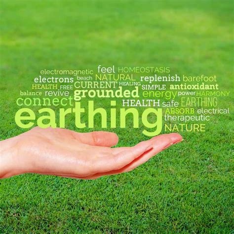 Do Grounding Mats Actually Work Ecotherapy Heals