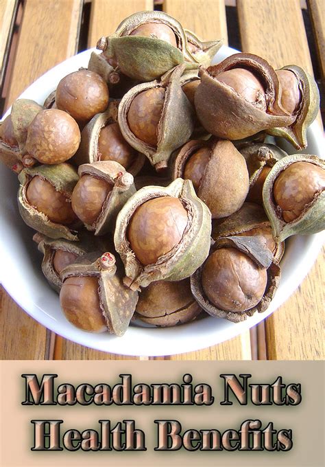 Macadamia Nuts Health Benefits And Nutrition Facts Quiet Corner