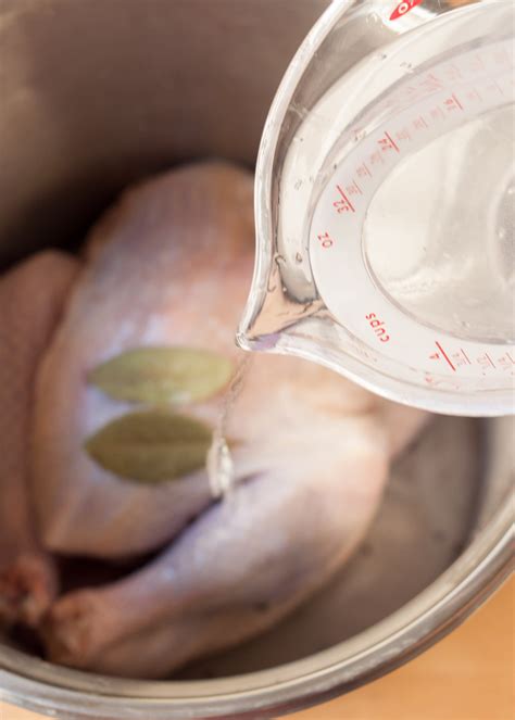 How To Brine A Turkey Turkey Brine Recipe Kitchn