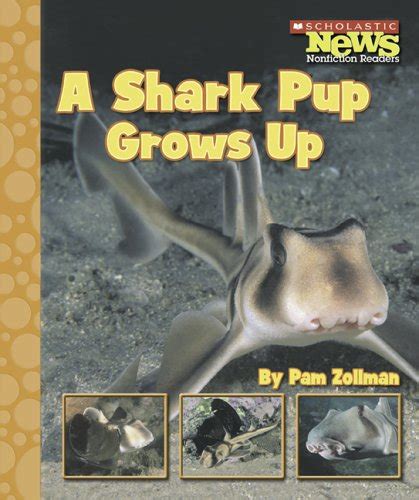 A Shark Pup Grows Up Scholastic News Nonfiction Readers Zollman Pam