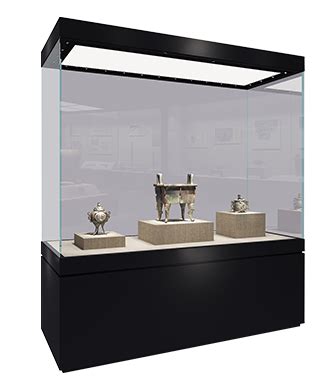 display cases for museums | Custom glass, Museum display cases, Custom display case