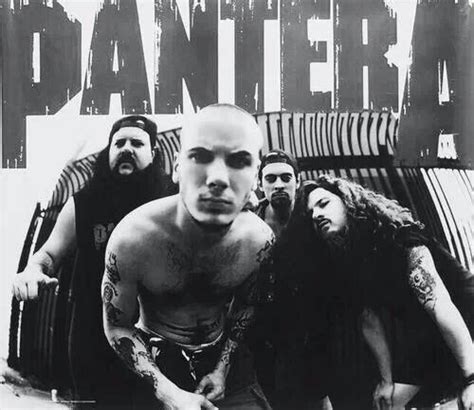 Pantera Pantera Band Heavy Metal Music Music Bands