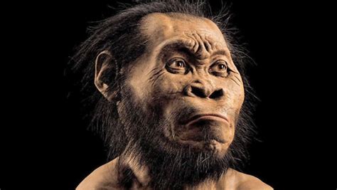 Homo naledi scheint ein neues glied in der geschichte der menschlichen evolution zu sein. El Homo Naledi es la nueva especie humana descubierta de nuestros antepasados