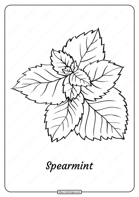 Free Printable Spearmint Outline Coloring Page Coloring Pages Apple