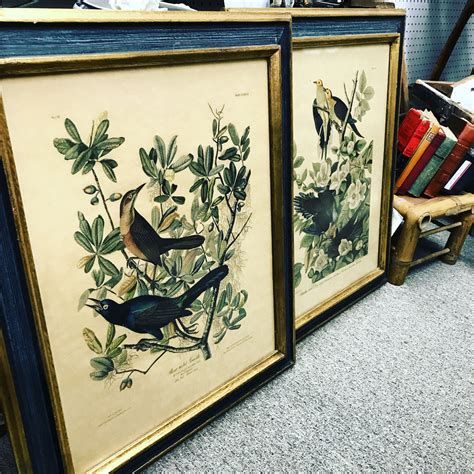 pair of framed bird prints bird prints art prints prints