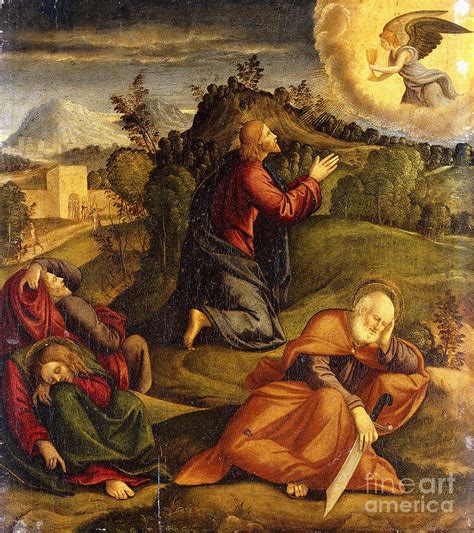 The Agony In The Garden Painting By Girolamo Da Santacroce Pixels