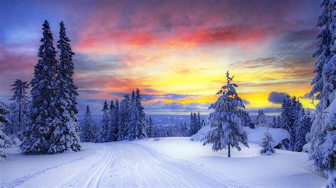 Winter Sunset Forest 1920×1080 Nature Hd Wallpapers Hd Desktop