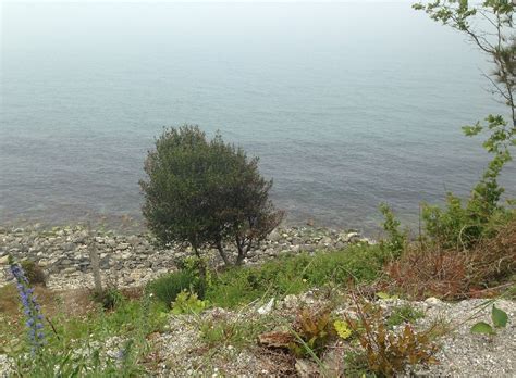 Kastamonu ilıca şelalesi pınarbaşı nerede, nasıl gidilir? Inebolu 2021: Best of Inebolu, Turkey Tourism - Tripadvisor