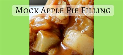 Canning author linda ziedrich agrees canning apple pie filling using tapioca or cornstarch as the thickener is an outdated and risky method. Mock Apple Pie Filling | Wonderfully Made and Dearly Loved