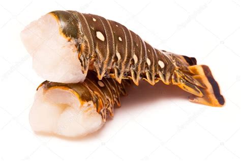 Raw Caribbean Rock Lobster Tails — Stock Photo © West1 98916766