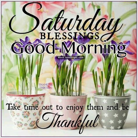 Saturday Blessings Good Morning Pictures Photos And Images For