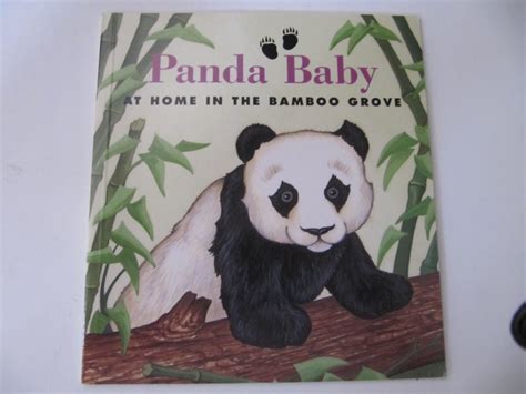 Panda Baby At Home In The Bamboo Grove By Sarah Toast Childrens