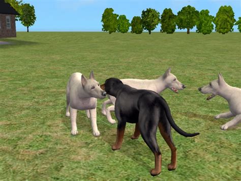 Mod The Sims White Dobermans And Uncropped Dobys