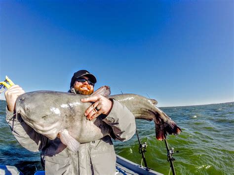 Maybe you would like to learn more about one of these? Lake Tawakoni Fishing Guide | Catfish Guide Lake Tawakoni ...