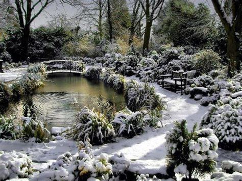 50 Amazing Winter Garden Landscape Sweetyhomee