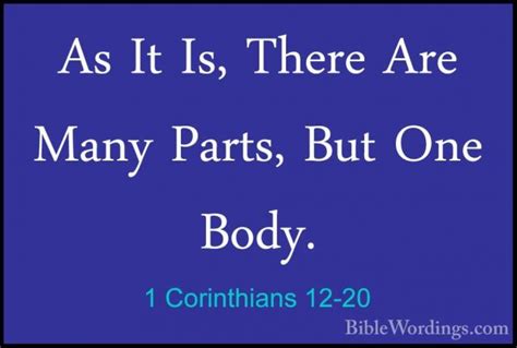 1 Corinthians 12 20 As It Is There Are Many Parts But One Bod