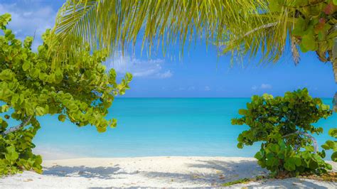 Beaches And Nature Cocobay Resort Antigua Beach Vacation