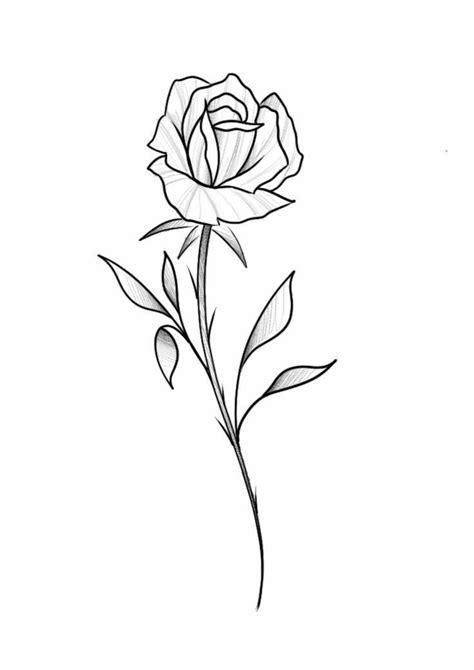 Rosa Desenho Tatuagem De Flor Simples Desenho De Rosa Simples