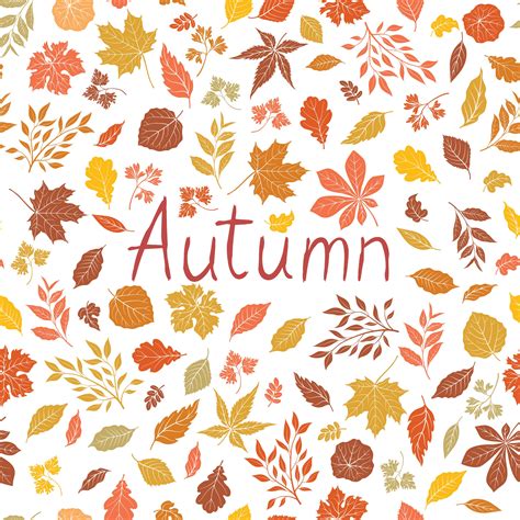 Autumn Leaves Pattern 682720 Vector Art At Vecteezy