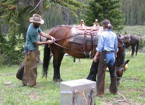 Put it gently on the back of your horse making sure to place. High Mountain Horse: Part V in the series on Horse Packing ...