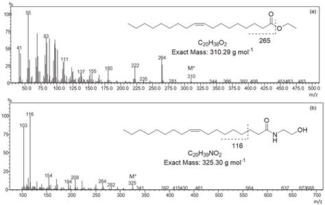 Mass Spectra Of The Ethyl Oleate A And Oleic Acid Amide B Compounds